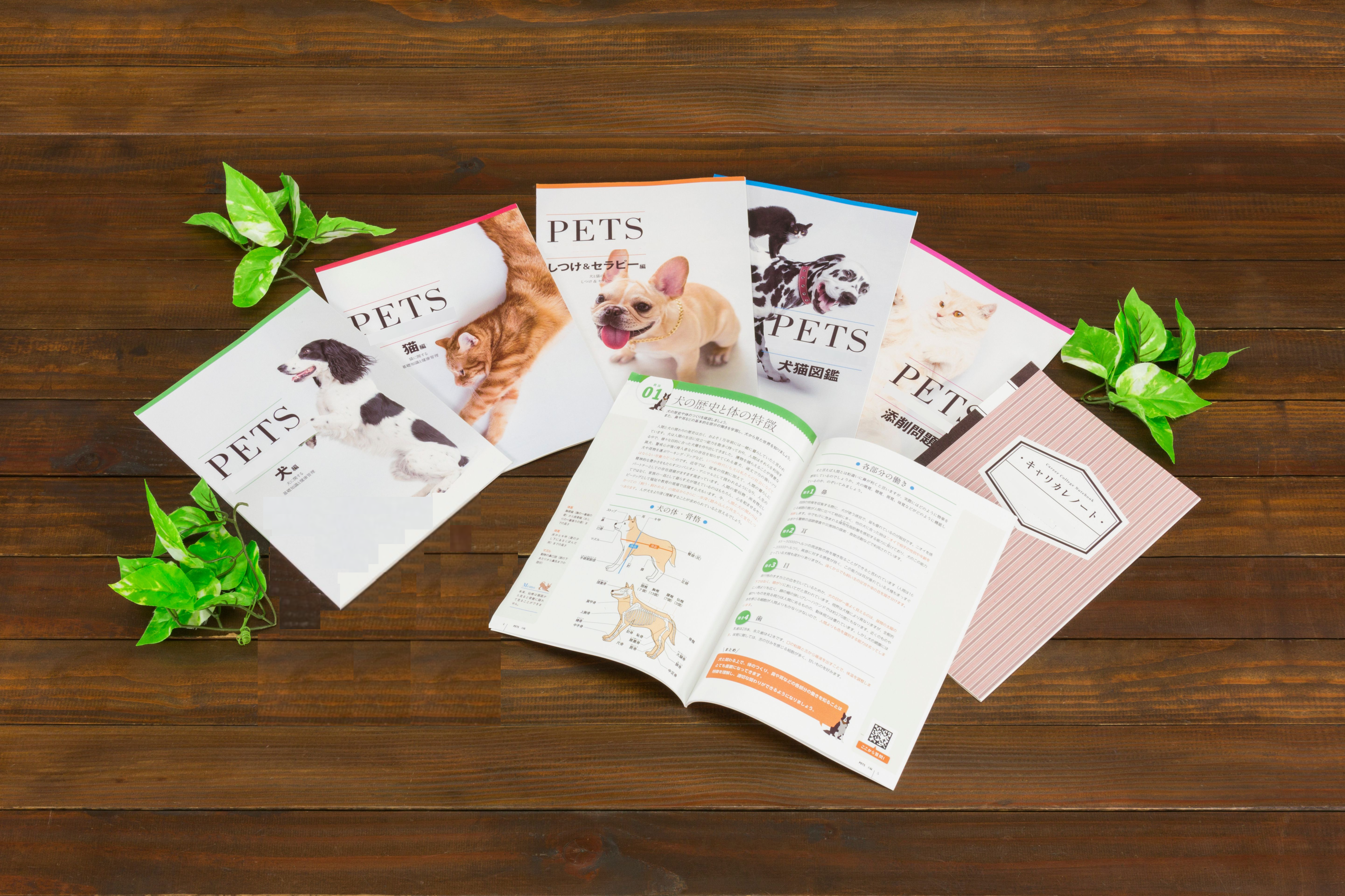 ペットケアアドバイザー＆セラピスト 講座 体験談 | キャリカレでの